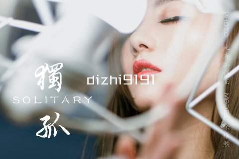 dizhi9191